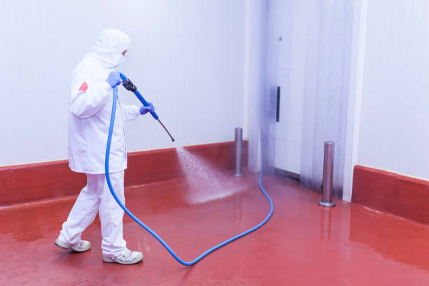 Best Boat and Dock Cleaning  in Bethany, WV